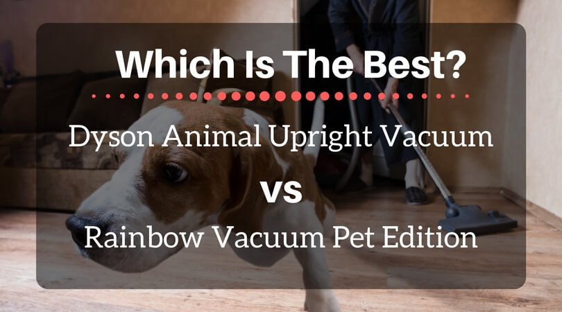 Rainbow vs dyson vacuum cleaner